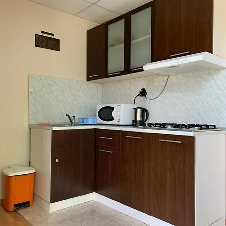 Pensiune Guest House Olesya