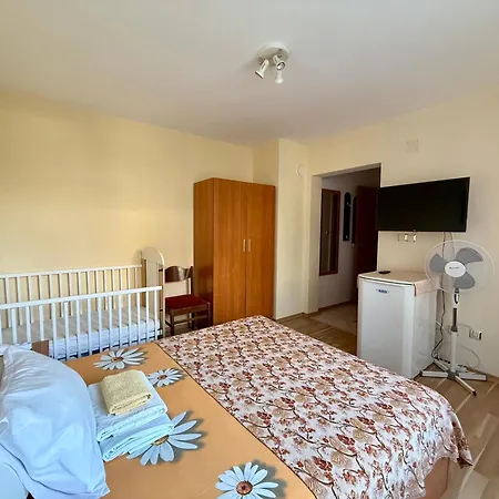 Гостевой дом Guest House Olesya