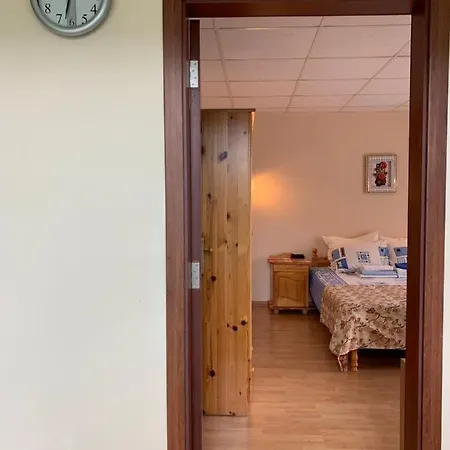 Guest House Olesya 3*