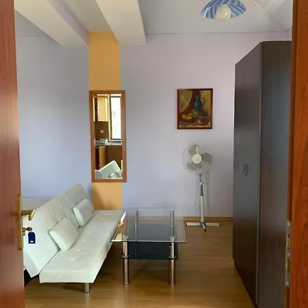 “olesya” בית הארחה אובזור