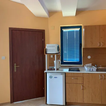 Guest House Olesya 3*