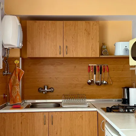 Guest House Olesya 奥布佐尔