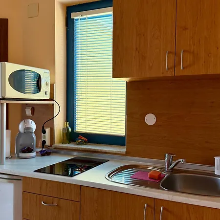 Guest House Olesya Obzor