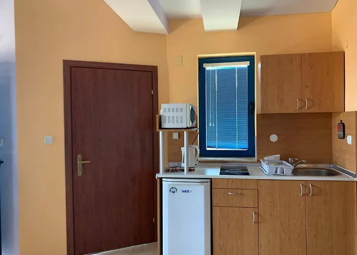 Guest House Olesya 3*