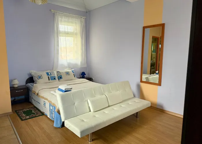 Guest House Olesya 招待所