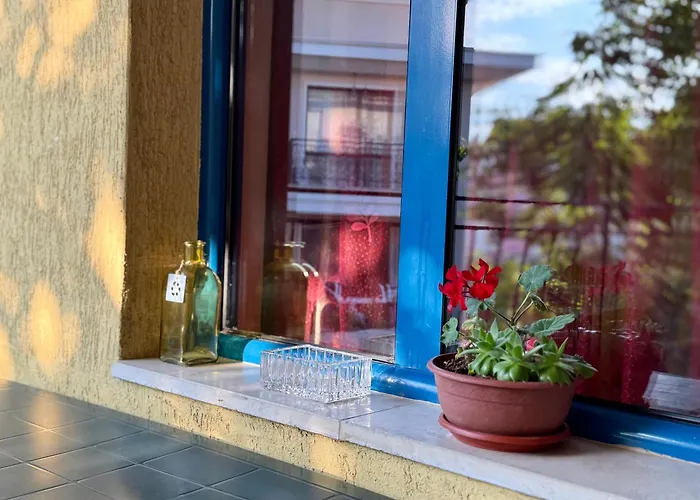 Guest House Olesya 3* Obzor