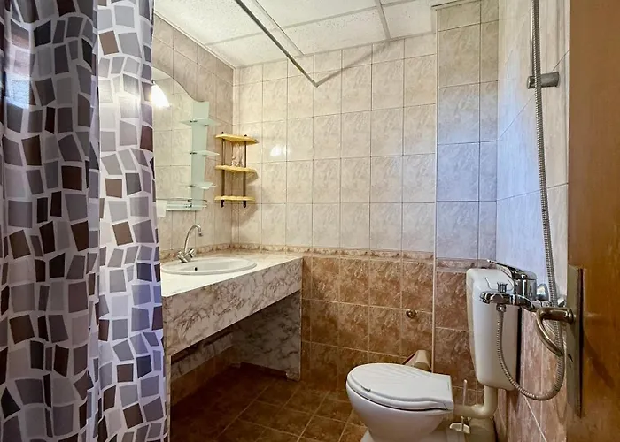 Guest House Olesya 招待所