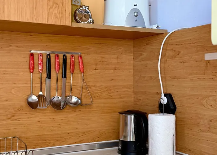 Guest House Olesya 招待所 奥布佐尔