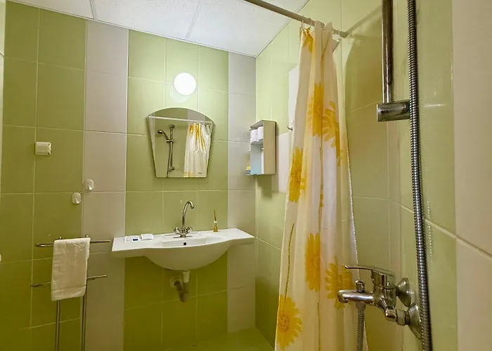 Guest House Olesya 3*