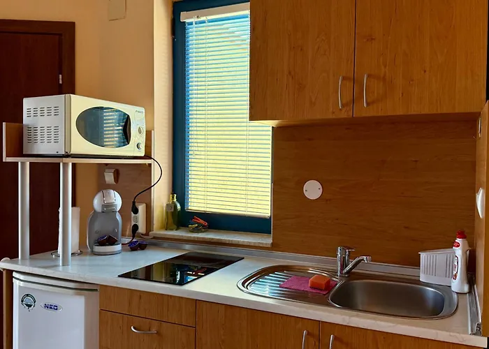 Guest house “Olesya” Obzor