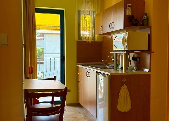 Guest House Olesya 3*
