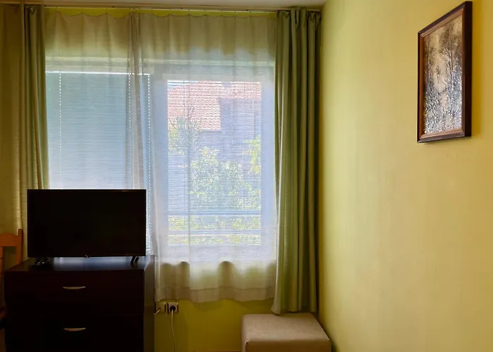 Guest House Olesya 奥布佐尔